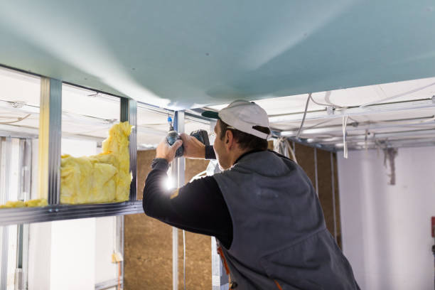 Best Eco-Friendly Insulation in Holtsville, NY